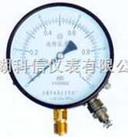 抗振差動(dòng)遠傳壓力表